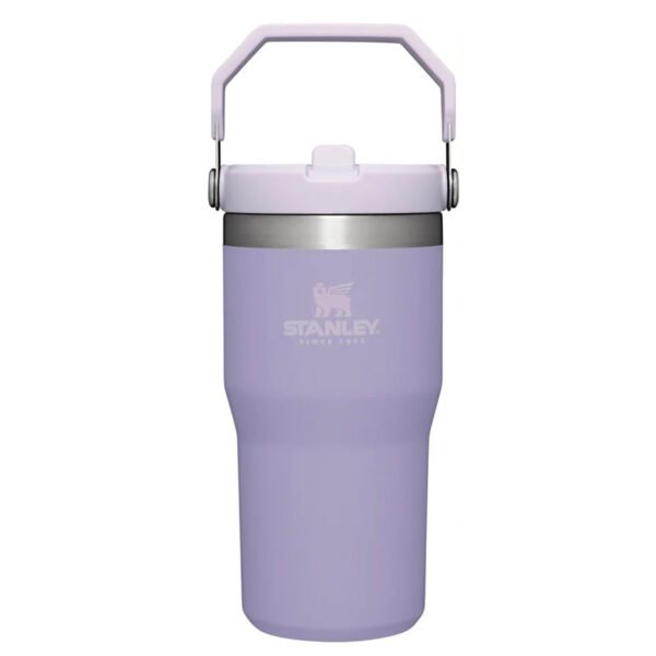 STANLEY FLIP STRAW TUMBLER 20 OZ - Image 6