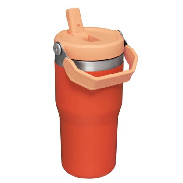 STANLEY FLIP STRAW TUMBLER 20 OZ - Image 9
