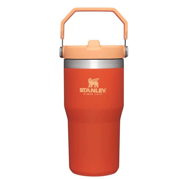 STANLEY FLIP STRAW TUMBLER 20 OZ - Image 8